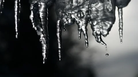 Slowmotion of dripping icicles on a warm bright sunny day. Melting icicle on a Stock Footage 147147196