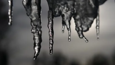 Slowmotion of dripping icicles on a warm bright sunny day. Melting icicle on a Stock Footage 147148196
