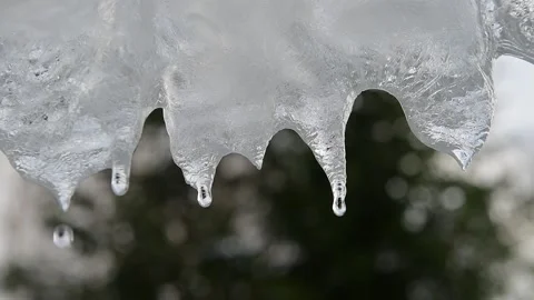 Slowmotion of dripping icicles on a warm bright sunny day. Melting icicle on a Stock Footage 147154492