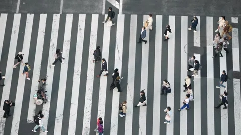 Slowmotion drone captures the crossing from high above. The crowd people moves Vídeo Stock 308879964