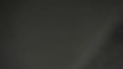 Slowmotion Dynamic Camera Opening Avocado Stock Footage 113232875