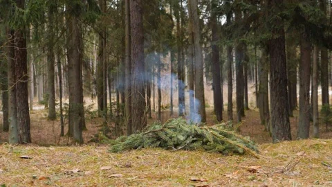 Slowmotion of exploding Christmas tree. Stock Footage 104435272