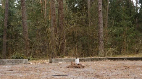 Slowmotion of exploding cup. Stock Footage 104435613