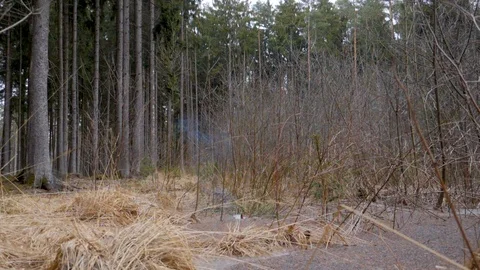 Slowmotion of exploding ice. Stock Footage 104435245