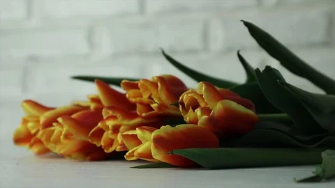 Slowmotion flowers falling down on the table Stock Footage 88380548