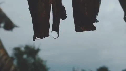 Slowmotion Video stock 245440980