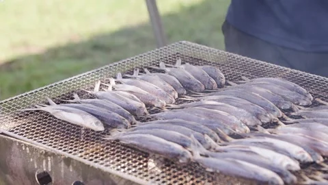 Slowmotion of fresh fish lined on grill before cooking over charcoal Japan Stock Footage 322118411