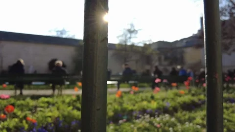Slowmotion lifestyle in Paris Stock Footage 171451253