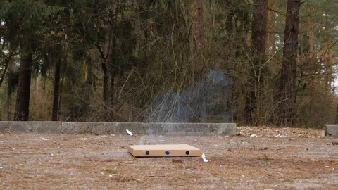 Slowmotion of petard exploding in pizza box. Stock Footage 104464136