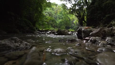 Slowmotion of quiet Philippine jungle river. Stock Footage 138818910