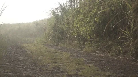 Slowmotion rain Stock Footage 80985559