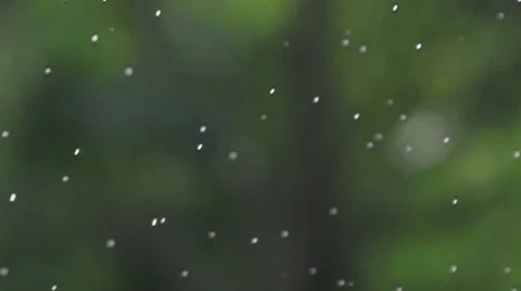 Slowmotion of raindrops falling down at green background Stock Footage 51804483