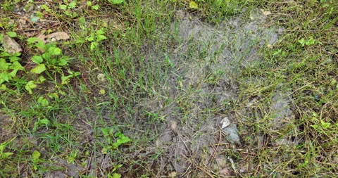Slow‑motion raindrops on muddy flooded field. Stock Footage 342563004