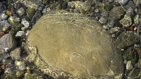 Slowmotion River Flow Stock Footage 78001057