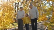 Slowmotion Shot Of An Elderly Couple Walking Down The Walkway With Their Grand Stock Footage