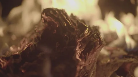 Slowmotion shot of a fire and flames burning away a newspaper in a fire pit Stock Footage 304150998