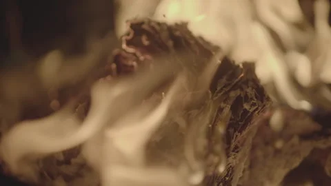 Slowmotion shot of a fire and flames burning away a newspaper in a fire pit Stock Footage 304152426