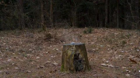 Slowmotion of small firework exploding candle. Stock Footage 104394754