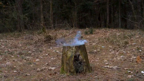 Slowmotion of small firework exploding candle. Stock Footage 104394762