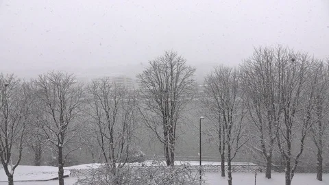 Slowmotion snow with rivers Stock Footage 87652234