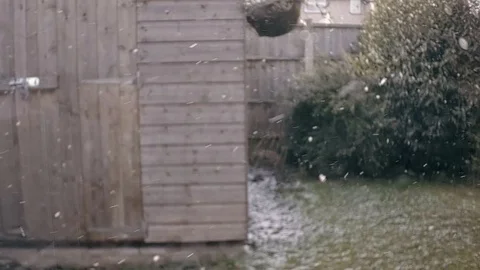 Slowmotion snowflakes falling down swirling on the wind in back garden. Stock Footage 89325010