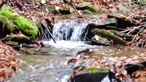 Slowmotion stream falling leafs autumn season Stock Footage 255293051