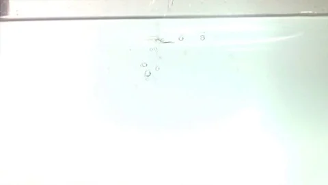 Slowmotion Vegetables falling into water Stock Footage 74061159