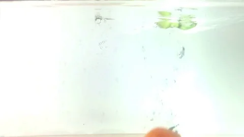 Slowmotion Vegetables falling into water Vídeos de archivo 74061163