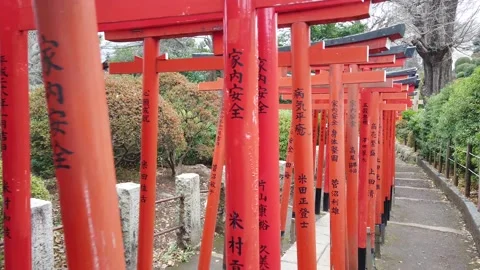 Slowmotion view while walking under many torii red entrance gates in buddhi.. Stock Footage 228853486