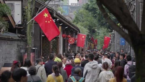 Slowmotion visitors passing under Chinese flags and red lanterns, tree alley Stock Footage 316779781