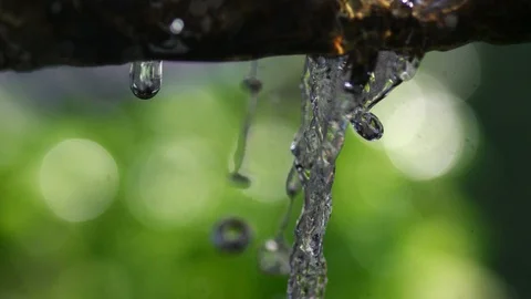 Slowmotion water running down a branch in the woods in front of green backgro Stock Footage 98992531