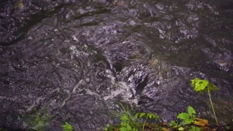 Slowmotion - Water Stream - 100 fps Stock-Footage 80837528
