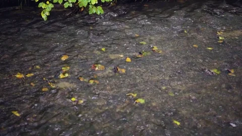 Slowmotion - Water Stream - 100 fps Stock-Footage 80888286