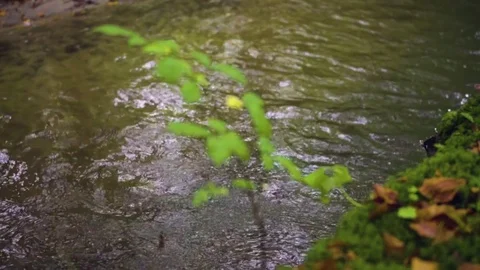 Slowmotion - Water Stream - 100 fps Stock-Footage 80888292