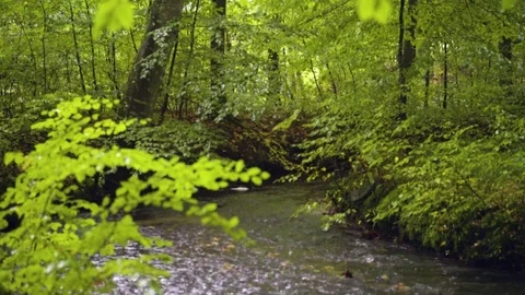 Slowmotion - Water Stream - 100 fps Stock-Footage 80888301