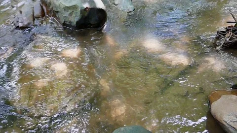 Slowmotion water surface movement. Stock Footage 78734414