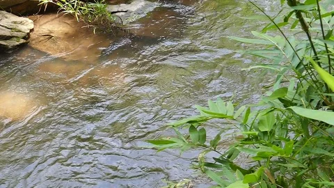 Slowmotion water surface movement. Stock Footage 78734518