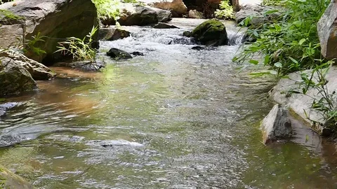 Slowmotion water surface movement. Stock Footage 78734612