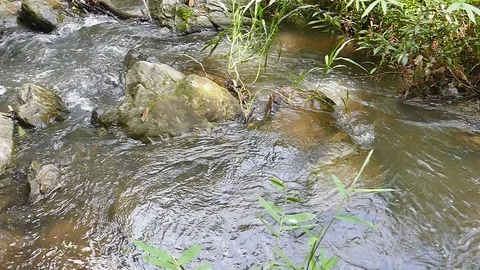 Slowmotion water surface movement. Stock Footage 78734884