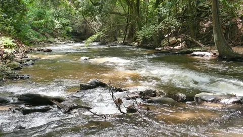 Slowmotion water surface movement. Stock Footage 78738175