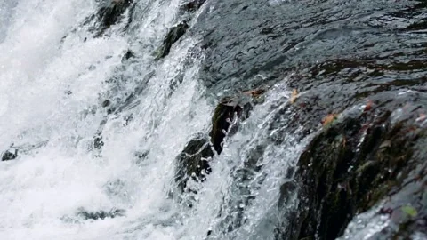 Slowmotion Waterfall Flowing in Jungle Video stock 135544377