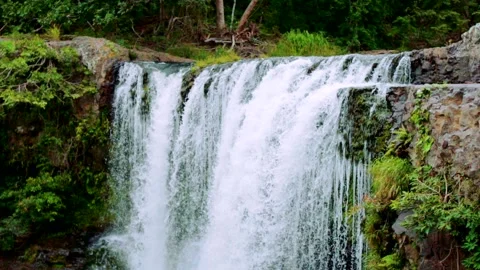 Slowmotion Waterfall Flowing in Jungle Stock Footage 135544385