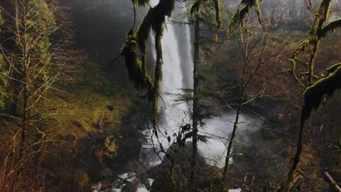 Slowmotion Of Waterfall At Silver Falls State Park Stock Footage 204710904