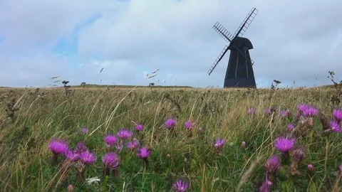 Slowmotion of a Windmill on a field of dry grass and fuchsia flowers Stock Footage 124914454
