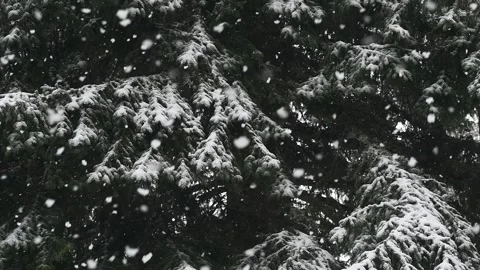 SlowSnow3 Stock Footage 170763081