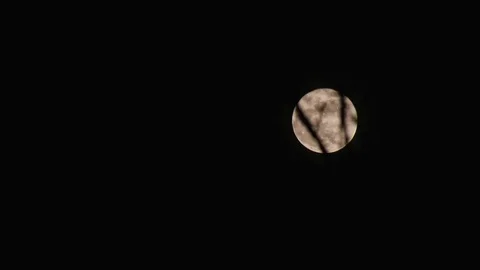 Slowy Rising Moon Through Trees Video stock 84737215