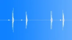 Slr camera beep and shutters Sound Effect