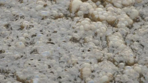 Sludge - big dirty water bubbles bursting Stock Footage 133771508
