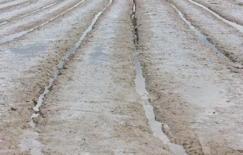 Sludge in field Stock Photos