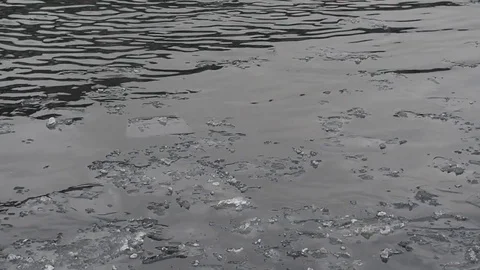 The sludge floats on the river. Stock Footage 82220778